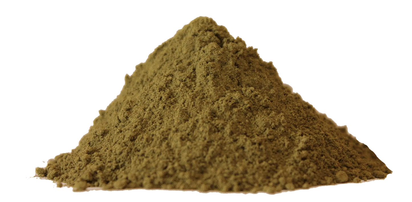 Green Borneo Kratom powder pile from Mitrascience, premium quality and ethically sourced