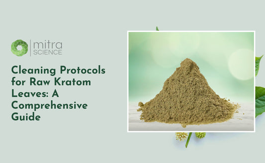 Cleaning Protocols for Raw Kratom Leaves: A Comprehensive Guide