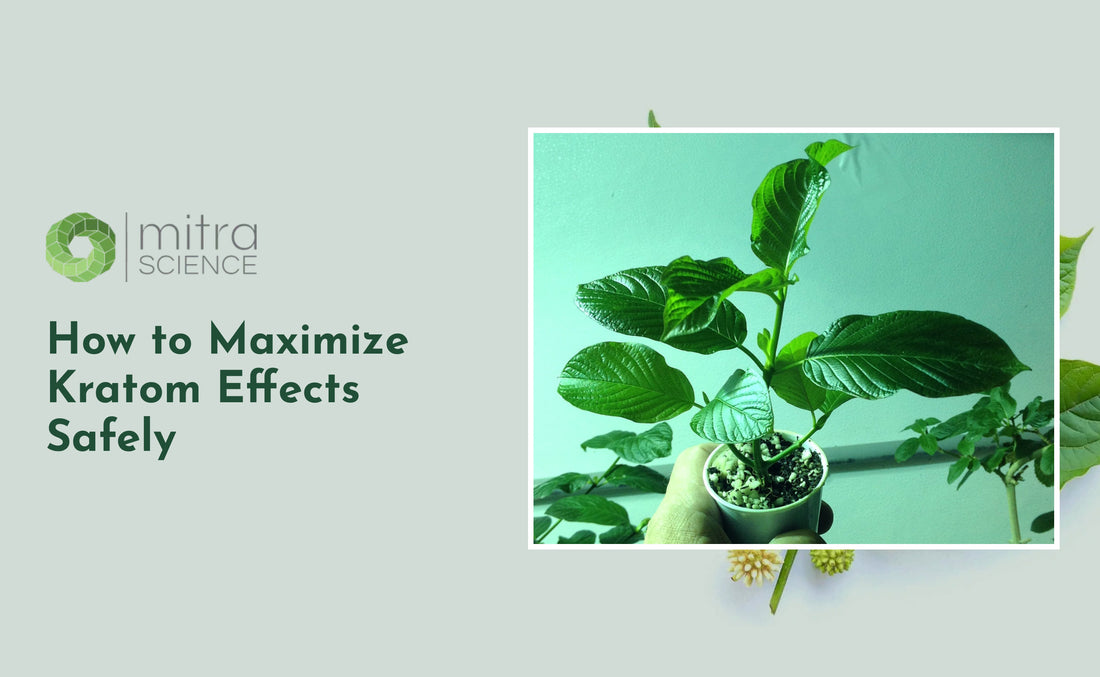 How to Maximize Kratom Effects Safely