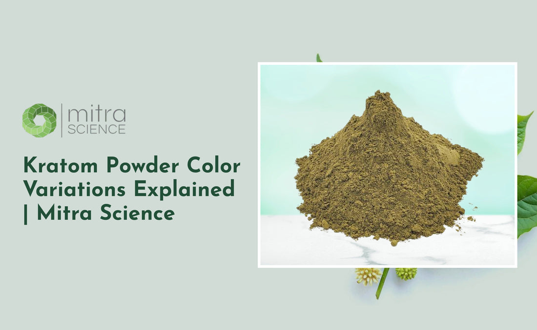 Kratom Powder Color Variations Explained | Mitra Science