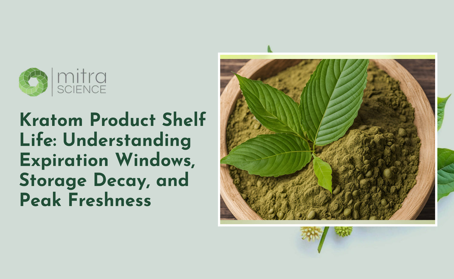 Kratom Product Shelf Life: Understanding Expiration Windows, Storage D ...