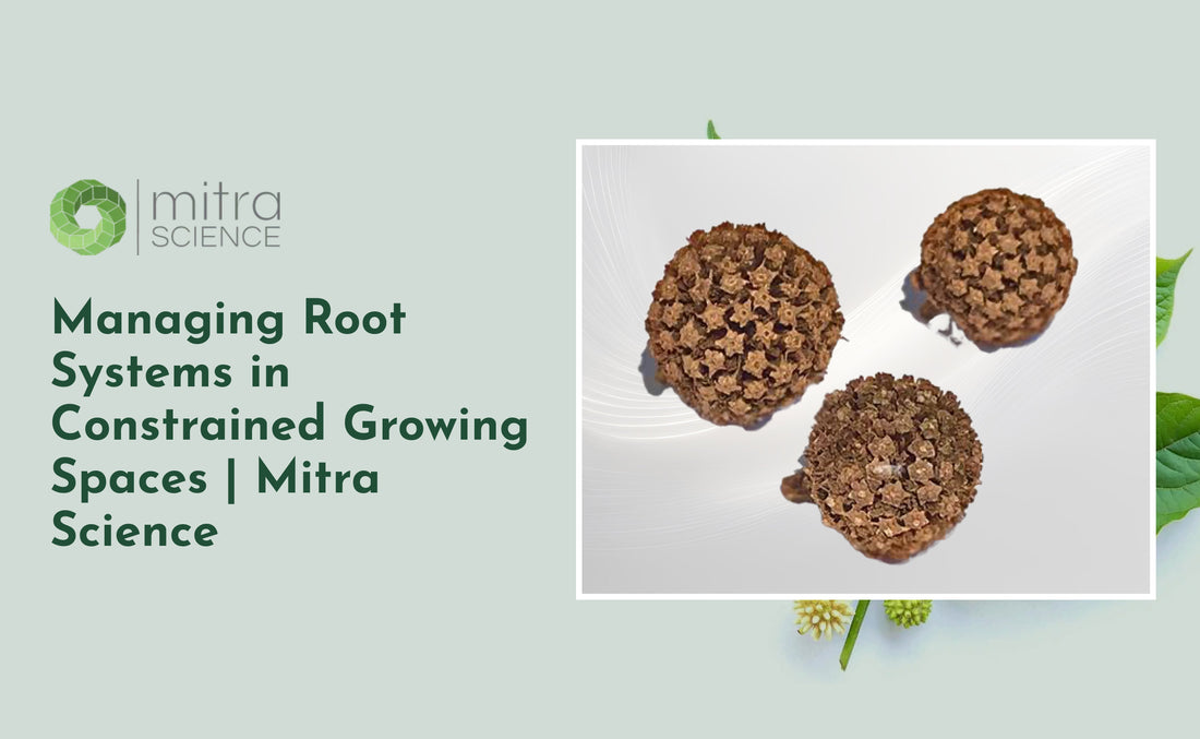 Managing Root Systems in Constrained Growing Spaces | Mitra Science