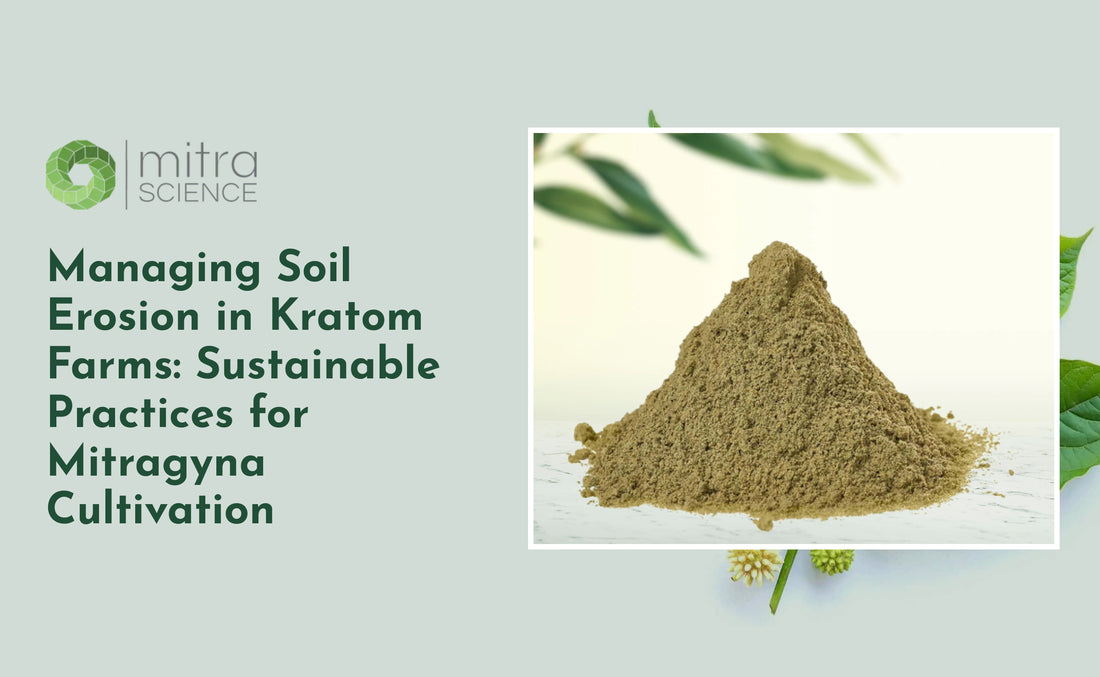 Managing Soil Erosion in Kratom Farms: Sustainable Practices for Mitragyna Cultivation