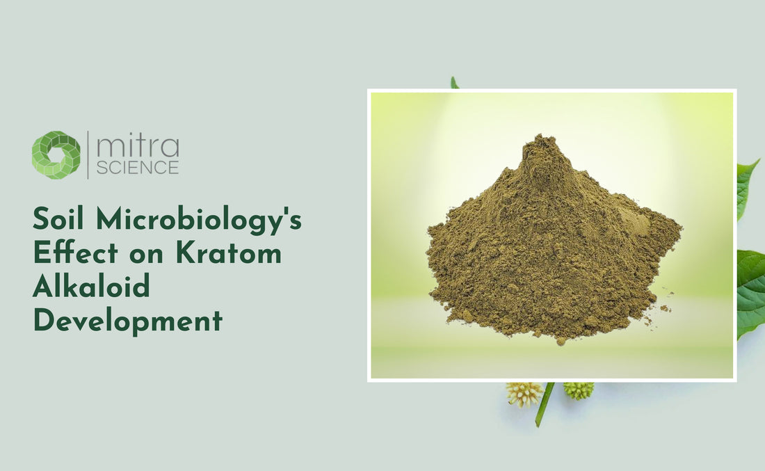 Soil Microbiology's Effect on Kratom Alkaloid Development