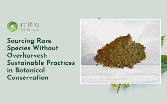 Sourcing Rare Species Without Overharvest: Sustainable Practices in Botanical Conservation