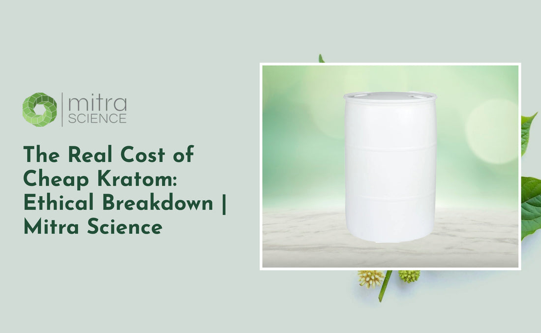 The Real Cost of Cheap Kratom: Ethical Breakdown | Mitra Science