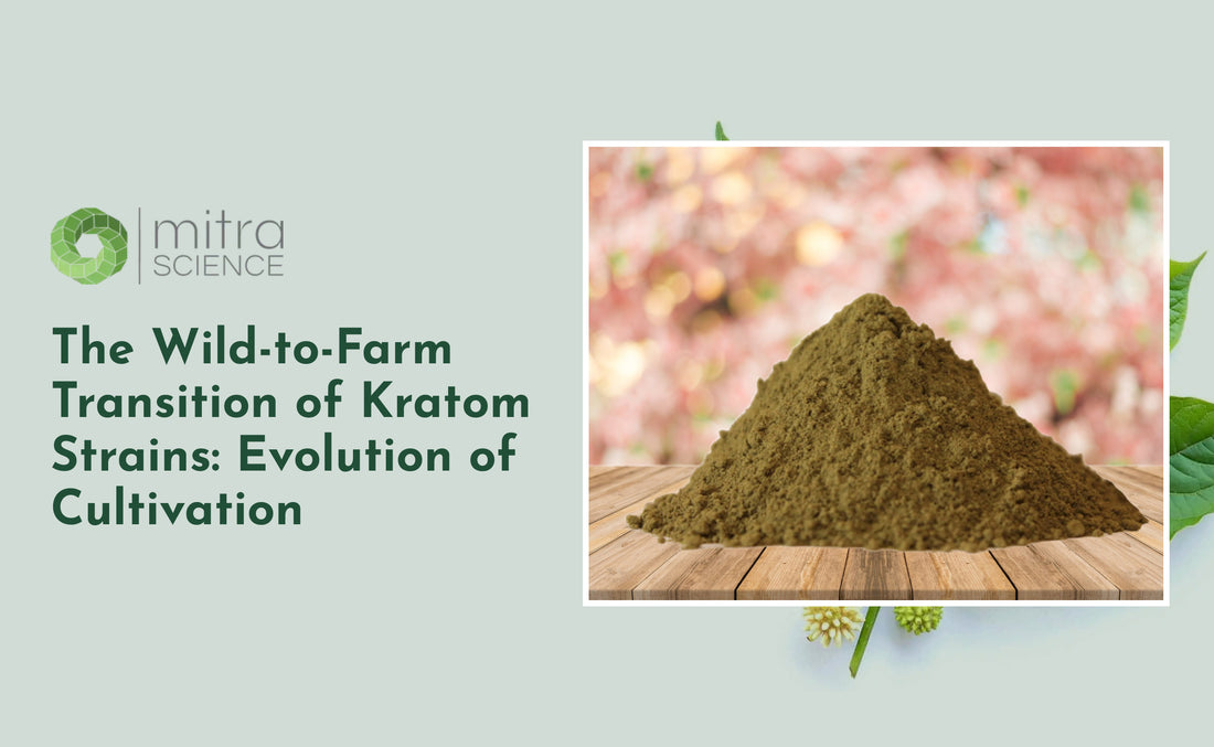 The Wild-to-Farm Transition of Kratom Strains: Evolution of Cultivation