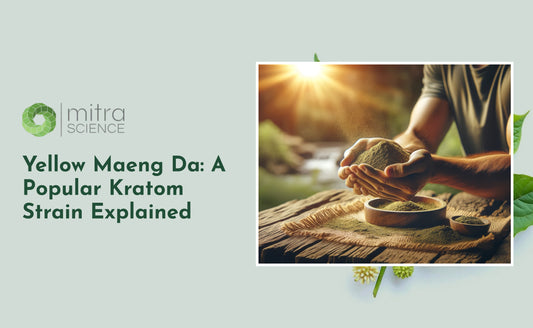 Yellow Maeng Da: A Popular Kratom Strain Explained