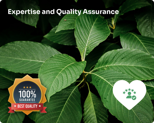 Mitra Science quality assurance