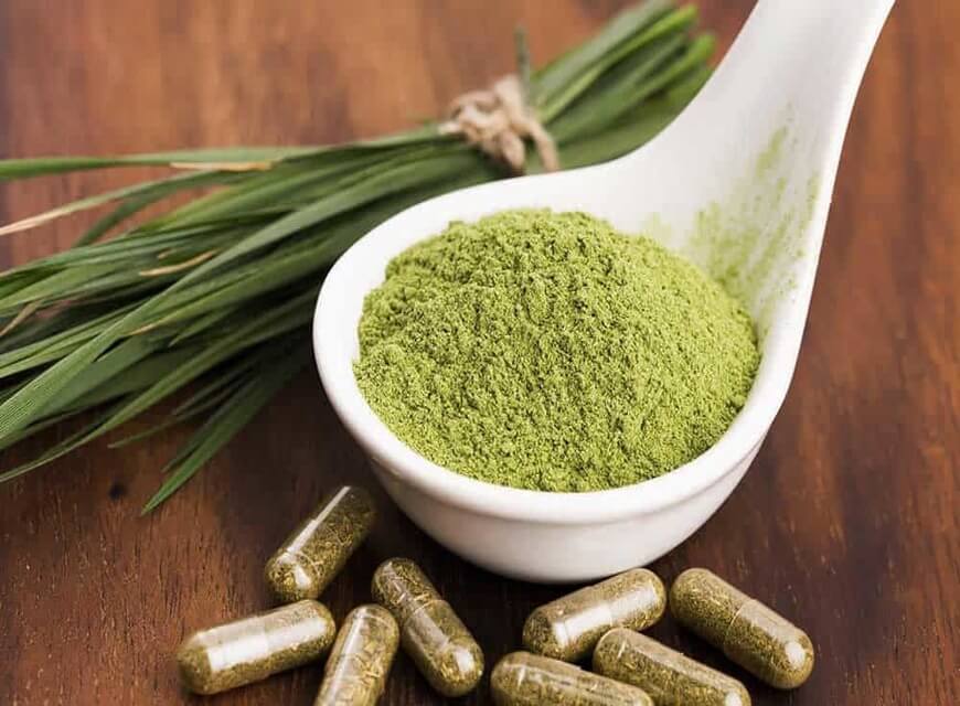 How to Decide if Bulk Kratom Capsules Are a Good Choice | Mitra Science